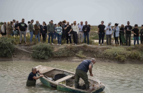 despesques 2024 1 1 despesques 2024 1 1