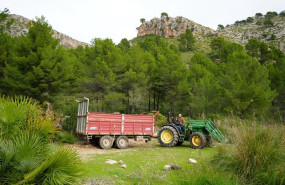 ep archivo   tractor en una explotacion agraria de calvi