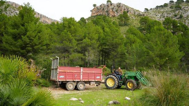 ep archivo   tractor en una explotacion agraria de calvi