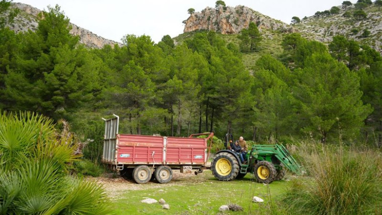 ep archivo   tractor en una explotacion agraria de calvi