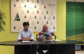 ep asaja c-lm consideracosechauvaeste ano sera excepcional y alcanzara dos gradosalcoholque2018