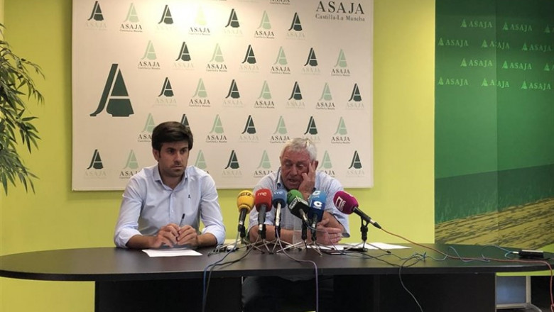 Asaja C-LM considera que cosecha de uva de este año será "excepcional" y alcanzará dos grados de alcohol más que en 2018 | EUROPA PRESS ep asaja c-lm consideracosechauvaeste ano sera excepcional y alcanzara dos gradosalcoholque2018