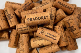 ep corchos de pradorey ep corchos de pradorey