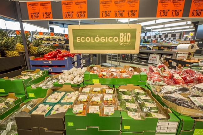 ep linea biola nueva tiendalidlpalafrugell girona