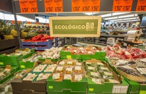 ep linea biola nueva tiendalidlpalafrugell girona