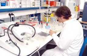 ep medico trabajando laboratorio