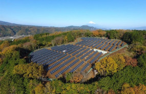 ep planta renovable