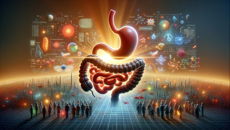 gofundme 1 20240131194408 