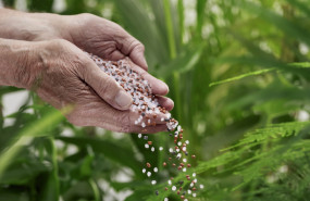 elho granulado plastico reciclado 20240522113700 