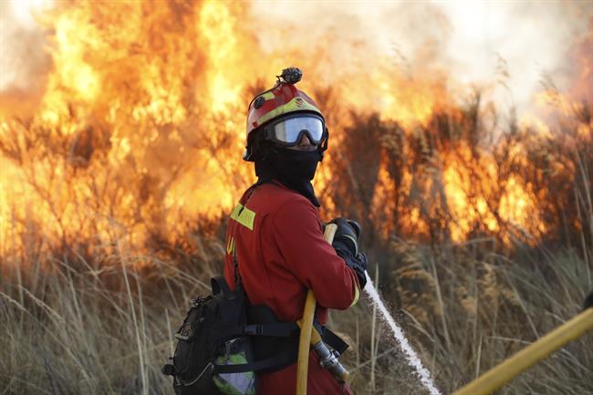 Efectivos de la UME trabajan en la extinción de incendios en Portugal | UME ep efectivosla umeenextincionincendiosportugal