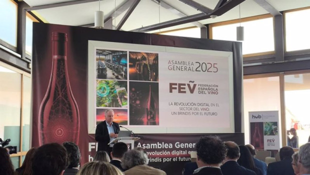 ep el presidente de la federacion espanola del vino fev pedro ferrer durante la asamblea general de ep el presidente de la federacion espanola del vino fev pedro ferrer durante la asamblea general de