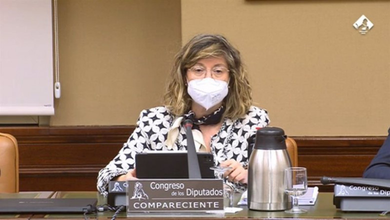 La presidenta de Adif, María Luisa Domínguez, durante su comparecencia en el Congreso | ADIF ep la presidenta de adif maria luisa dominguez durante su comparecencia en el congreso