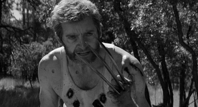 Logan Noir | FOX ep logan noir