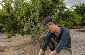 pexels pexels photo 30269149 pexels pexels photo 30269149