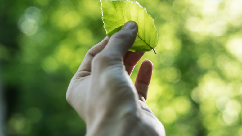 1655713932 tobias weinhold hxpomxrpup0 unsplash 