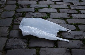 bolsa plastico blanca