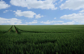 ep agricultura abona el anticipo de la pac mas rapido de la historia con mas de 217 millones de