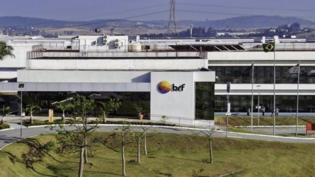 ep archivo brf ep archivo brf