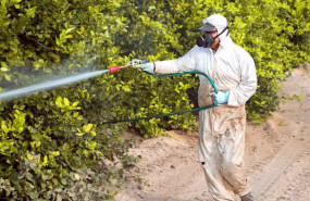 ep archivo   trabajador fumigando