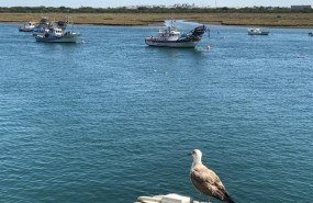 ep barco pesquero punta umbria