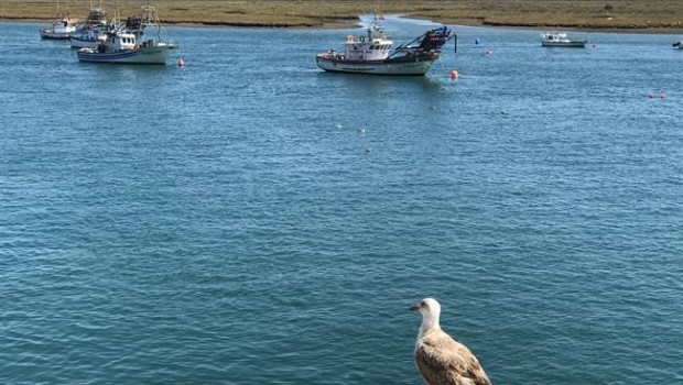 ep barco pesquero punta umbria