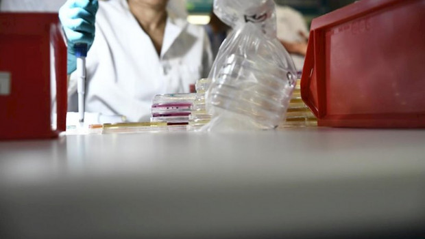 ep investigadora del laboratorio regional de salud publica de la comunidad de madrid