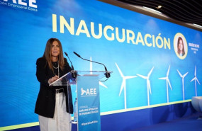 ep la presidenta de la asociacion empresarial eolica aee rocio sicre