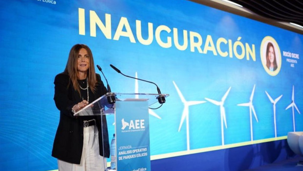 ep la presidenta de la asociacion empresarial eolica aee rocio sicre