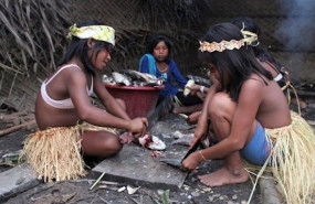 ep ninas indigenas de brasil cortando pescado