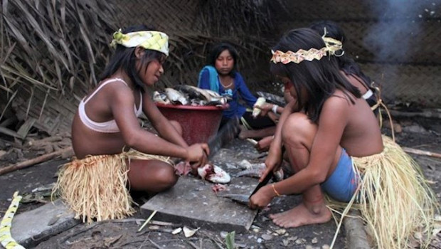 ep ninas indigenas de brasil cortando pescado