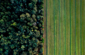 microsoftteams image 8 20240523122123 