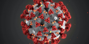 coronavirus 20200329154828