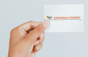 dl savannah energy aim nigeria africa gas exploration development production logo dl savannah energy aim nigeria africa gas exploration development production logo