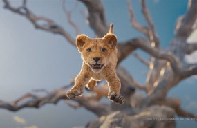 ep archivo   espectacular trailer de mufasa la precuela de el rey leon la tierra temblara