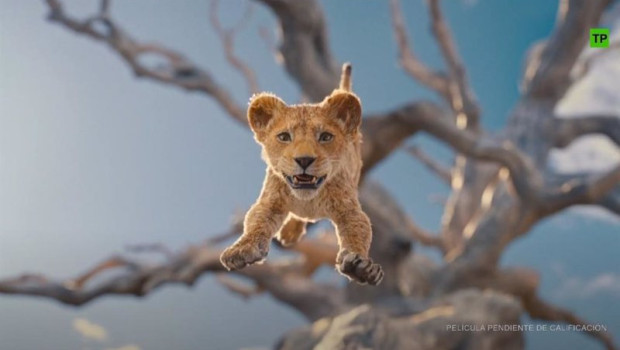 ep archivo   espectacular trailer de mufasa la precuela de el rey leon la tierra temblara