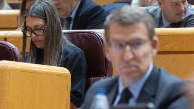 ep archivo   la portavoz de junts en el congreso miriam nogueras i y el lider del pp alberto nunez