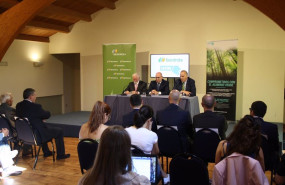 ep iberdrola entra en el accionariado de latemaluminium