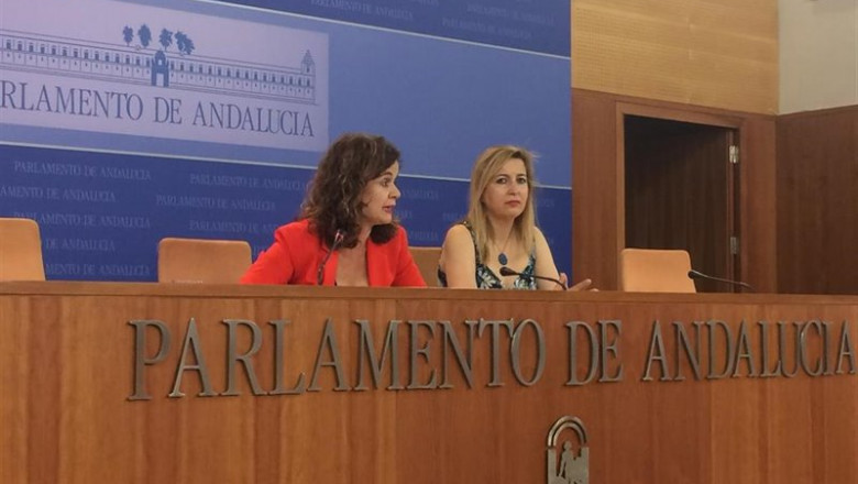 ep imagen de archivo de esperanza gomez y carmen lizarraga como portavoces adjuntas de podemos