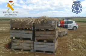 ep inspeccionescampoalbacete
