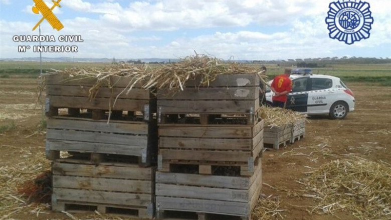 ep inspeccionescampoalbacete