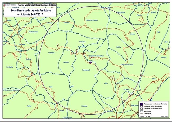 Zona demarcada por la Xylella en Alicante | GVA ep zona demarcadala xylellaalicante