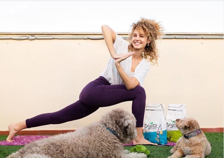 1586419862 purina beyondyoga dog day esther acebo