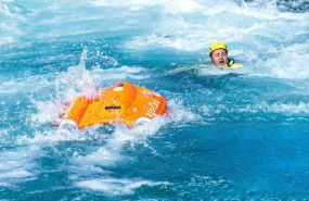 1597924463 dolphin 0417 1