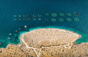 1620139065 ais group