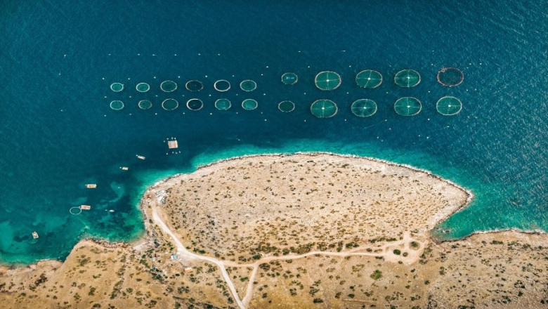 1620139065 ais group