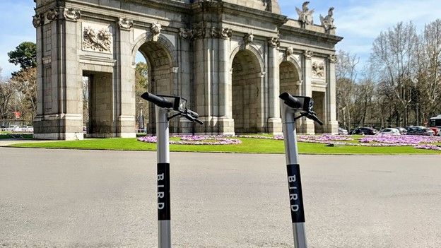 1625743027 bird madrid