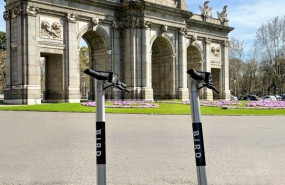 1625743027 bird madrid