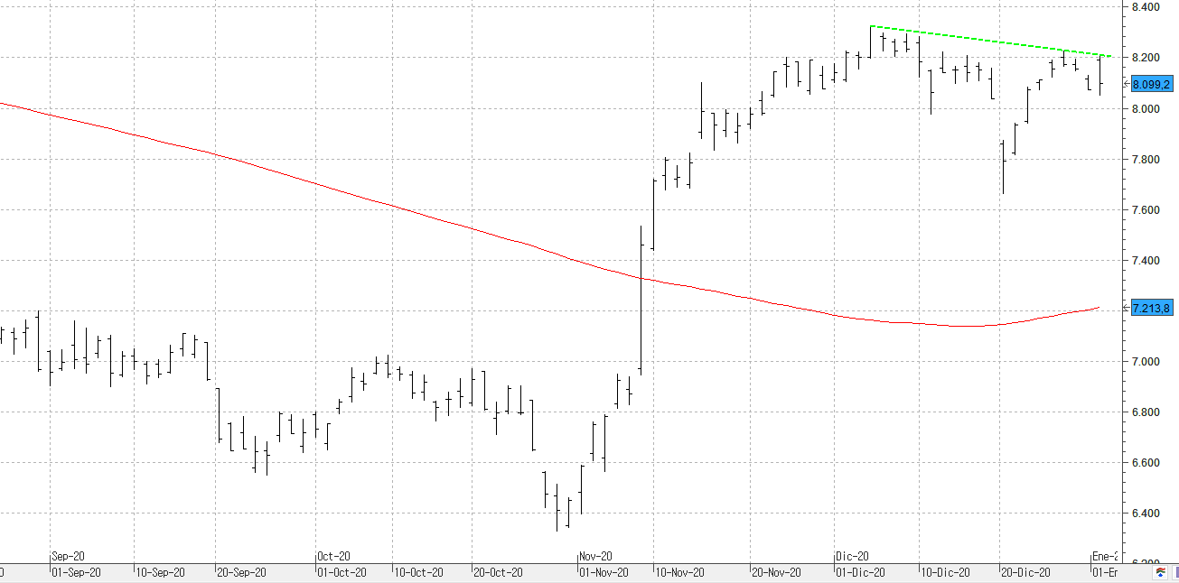 cc040121ibex