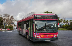 ep archivo   autobus de tussam circulando por el centro de la ciudad