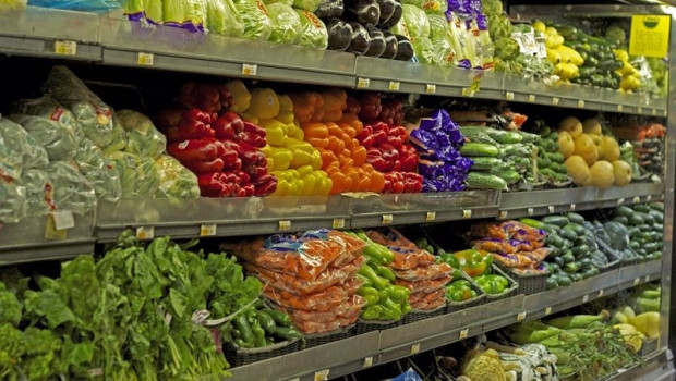 ep archivo   hortalizas y frutas en lineales